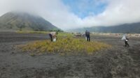 IMG-20260216-WA0021